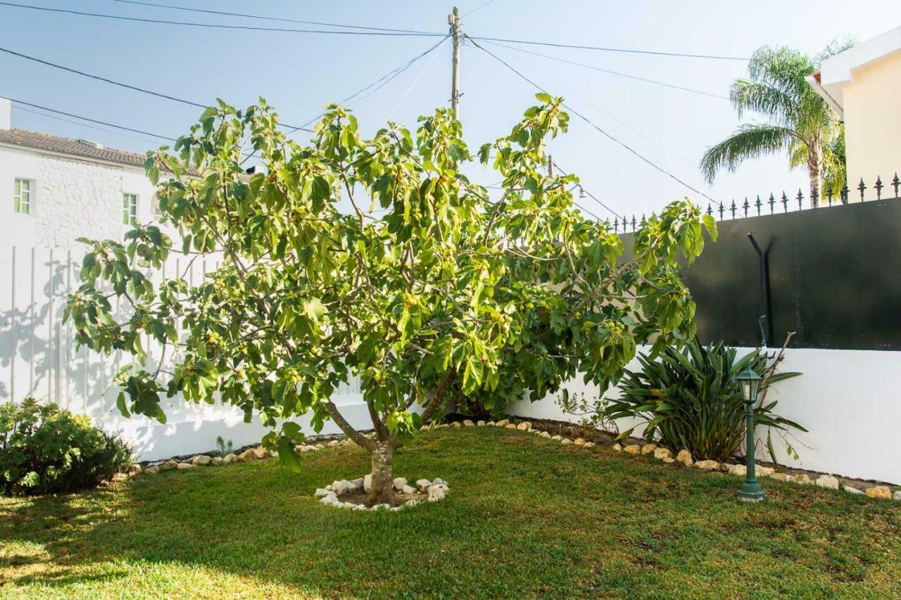 Casa Da Quintinha - Villa With A Pool Sesimbra Zewnętrze zdjęcie